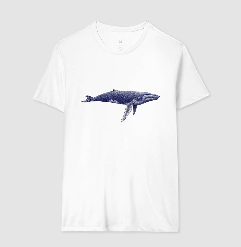 Balaenoptera musculus ~ Muriel Maria