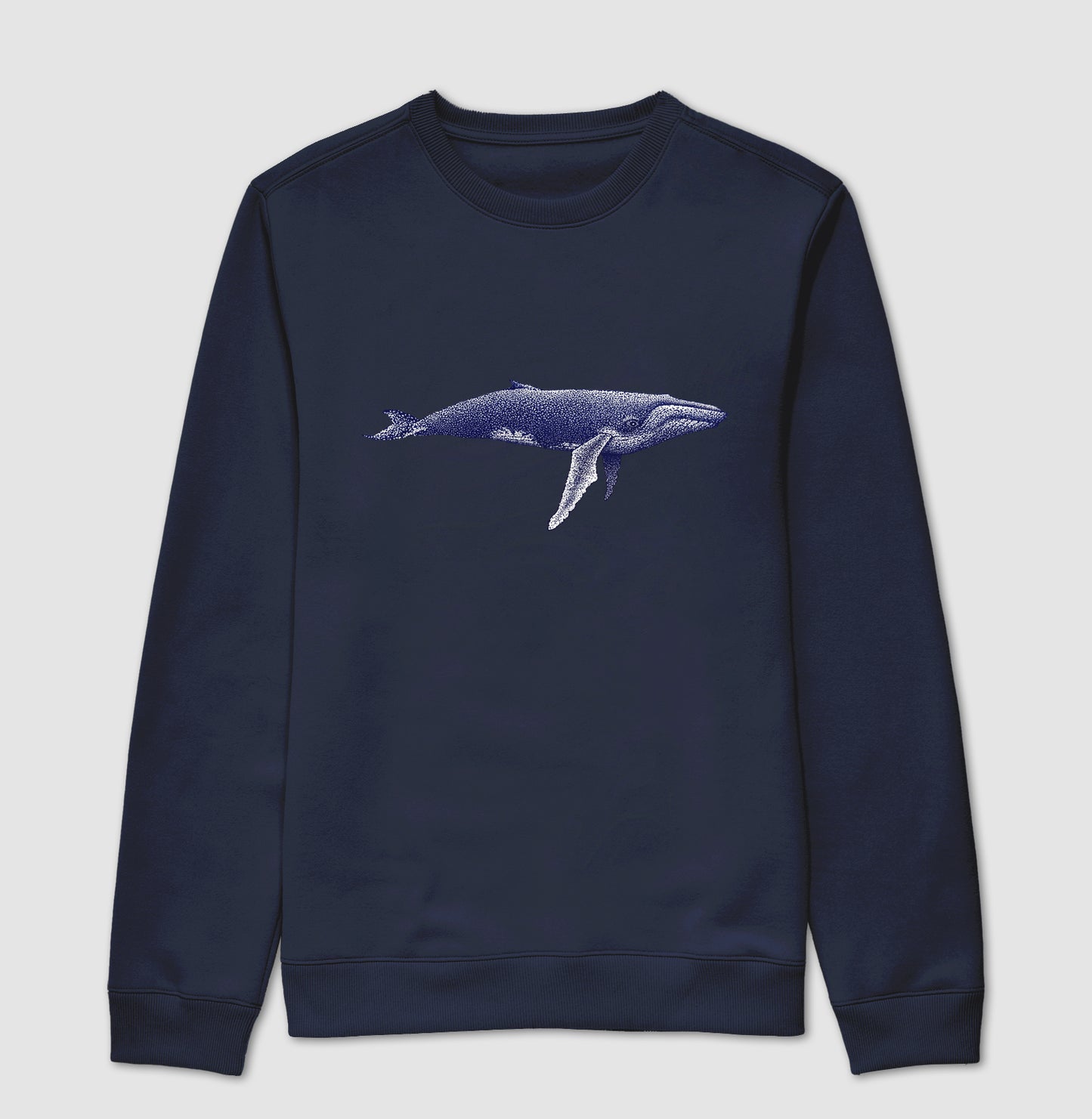 Balaenoptera musculus ~ Muriel Maria