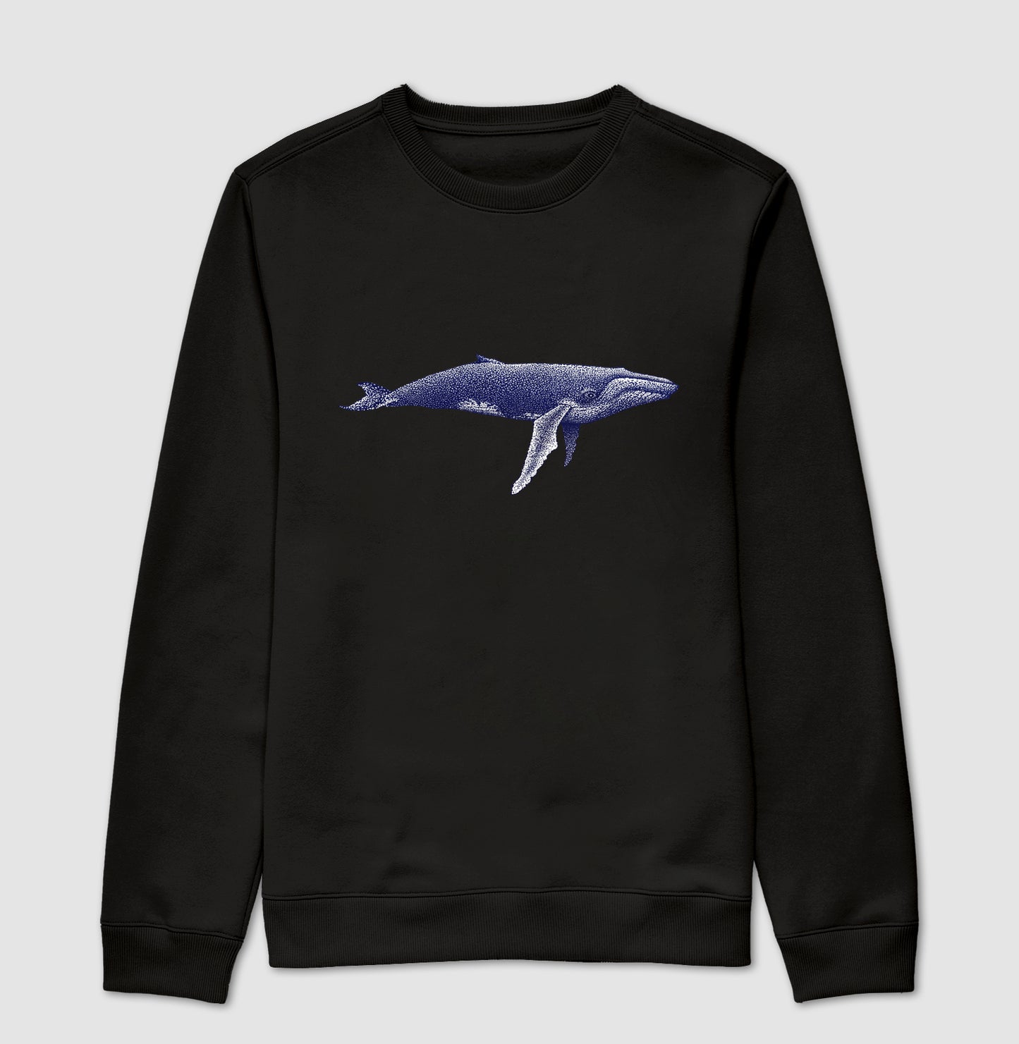 Balaenoptera musculus ~ Muriel Maria