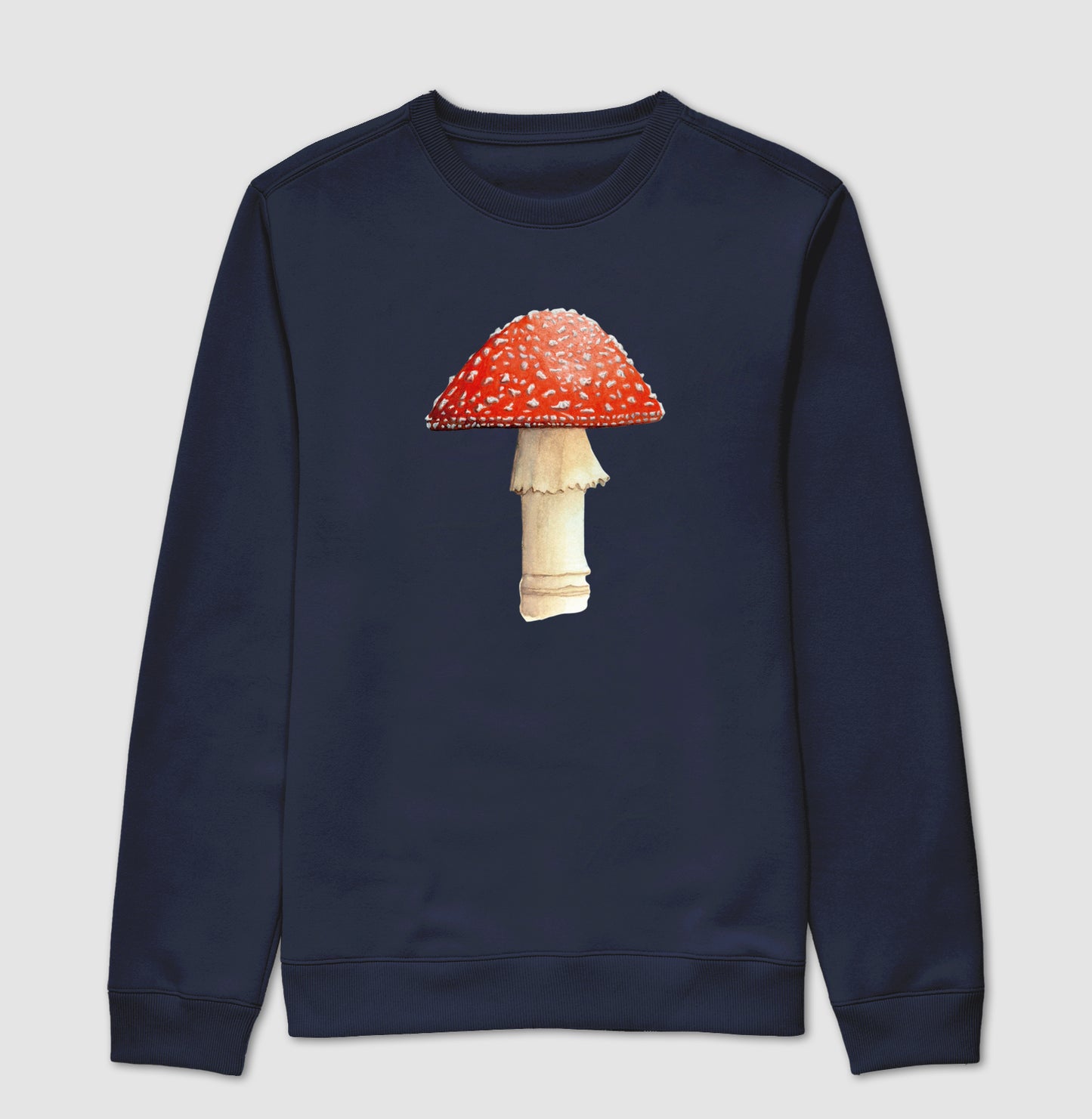 Amanita muscaria ~ Muriel Maria