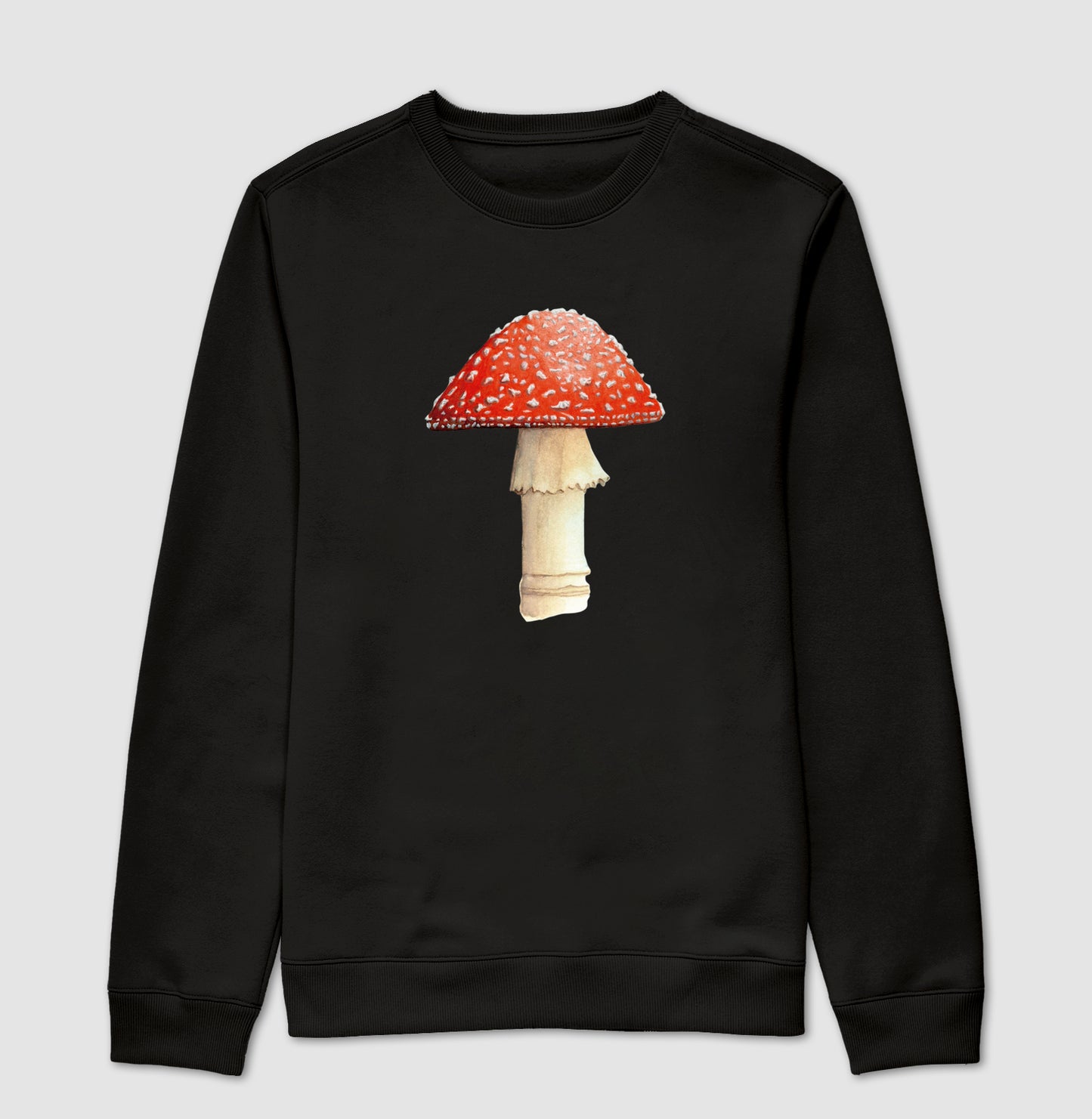 Amanita muscaria ~ Muriel Maria