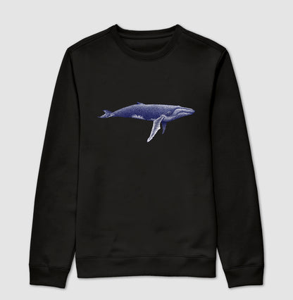 Balaenoptera musculus ~ Muriel Maria