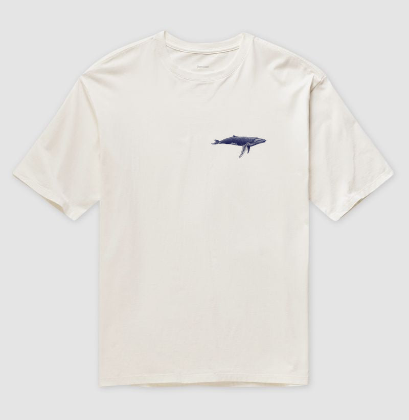 Balaenoptera musculus ~ Muriel Maria ~ Oversized