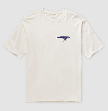 Balaenoptera musculus ~ Muriel Maria ~ Oversized