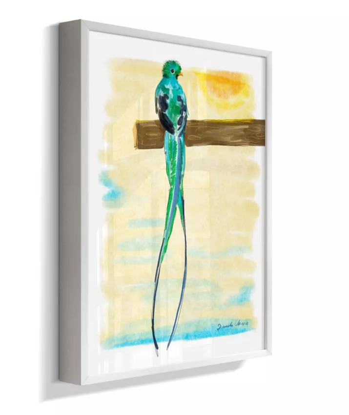 Quetzal ~ Danilo Chaves