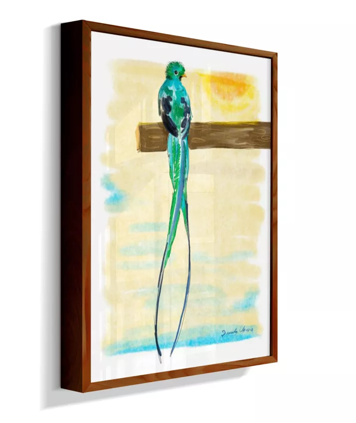 Quetzal ~ Danilo Chaves