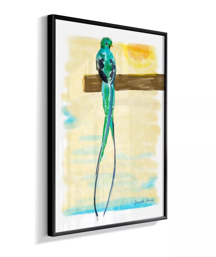 Quetzal ~ Danilo Chaves