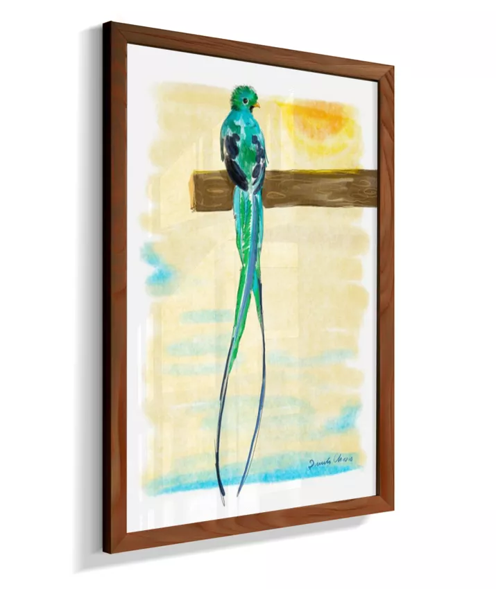 Quetzal ~ Danilo Chaves