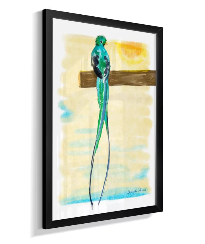 Quetzal ~ Danilo Chaves