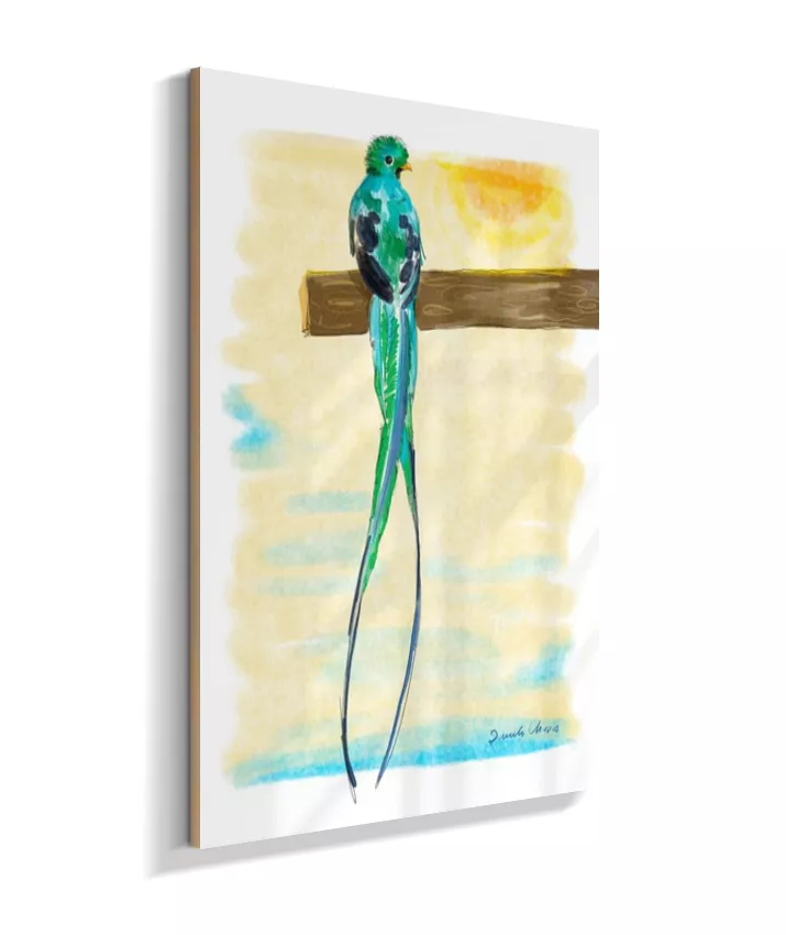 Quetzal ~ Danilo Chaves