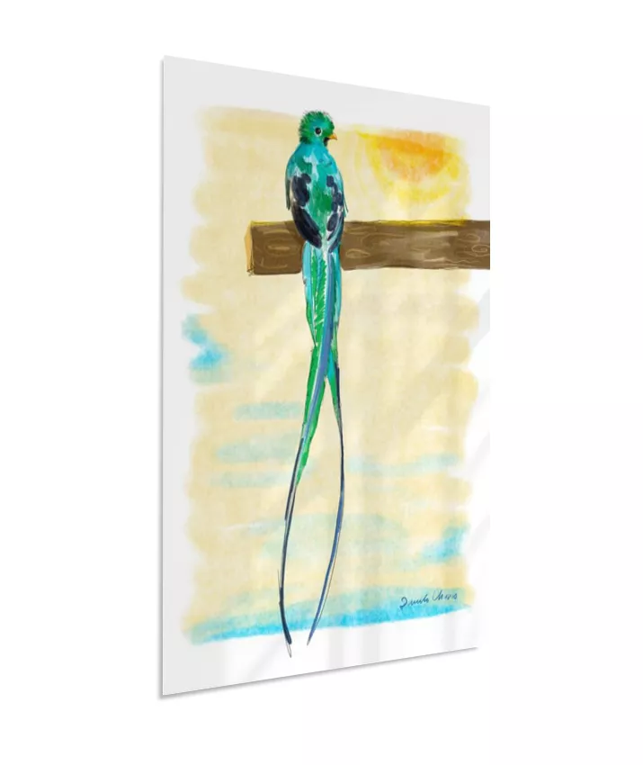 Quetzal ~ Danilo Chaves