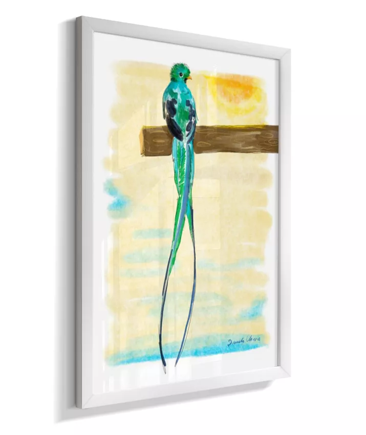 Quetzal ~ Danilo Chaves