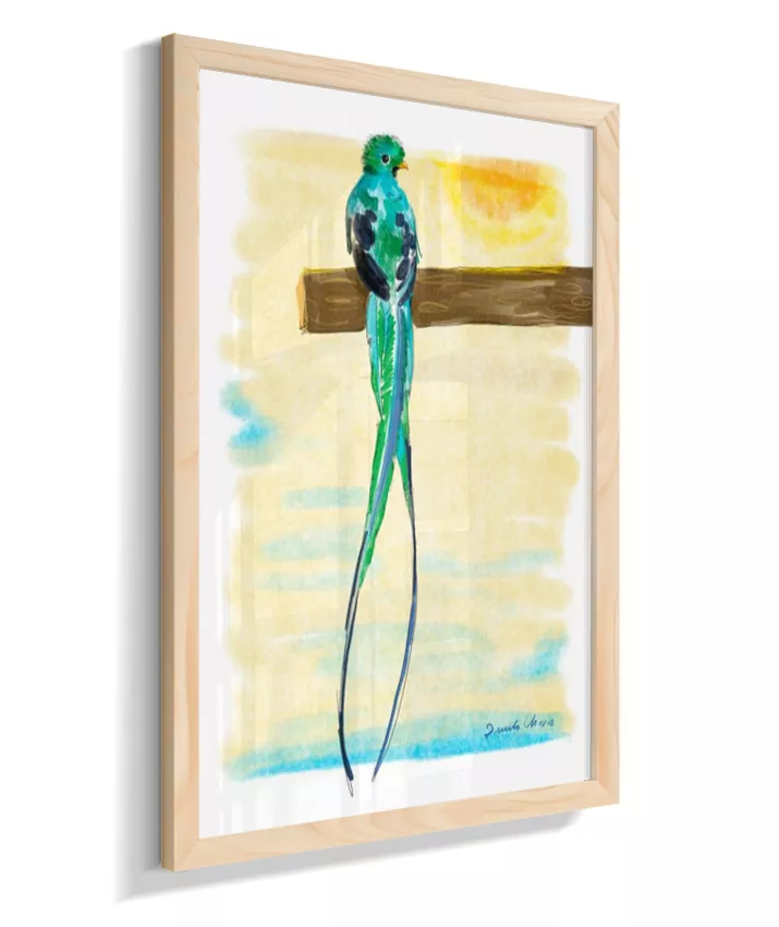 Quetzal ~ Danilo Chaves