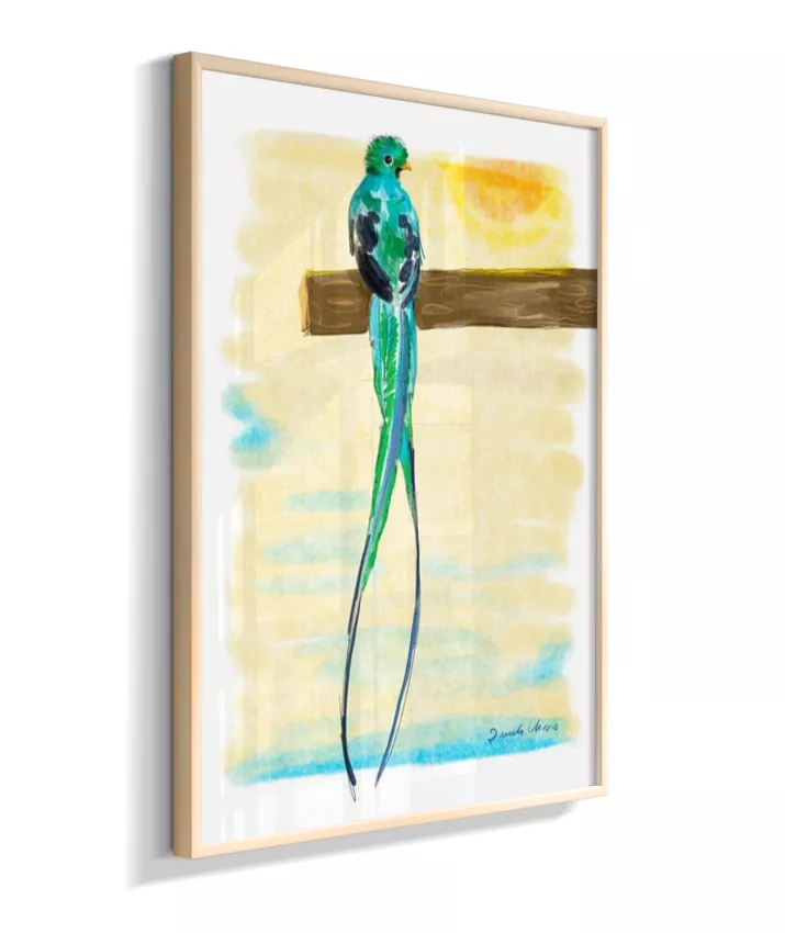 Quetzal ~ Danilo Chaves