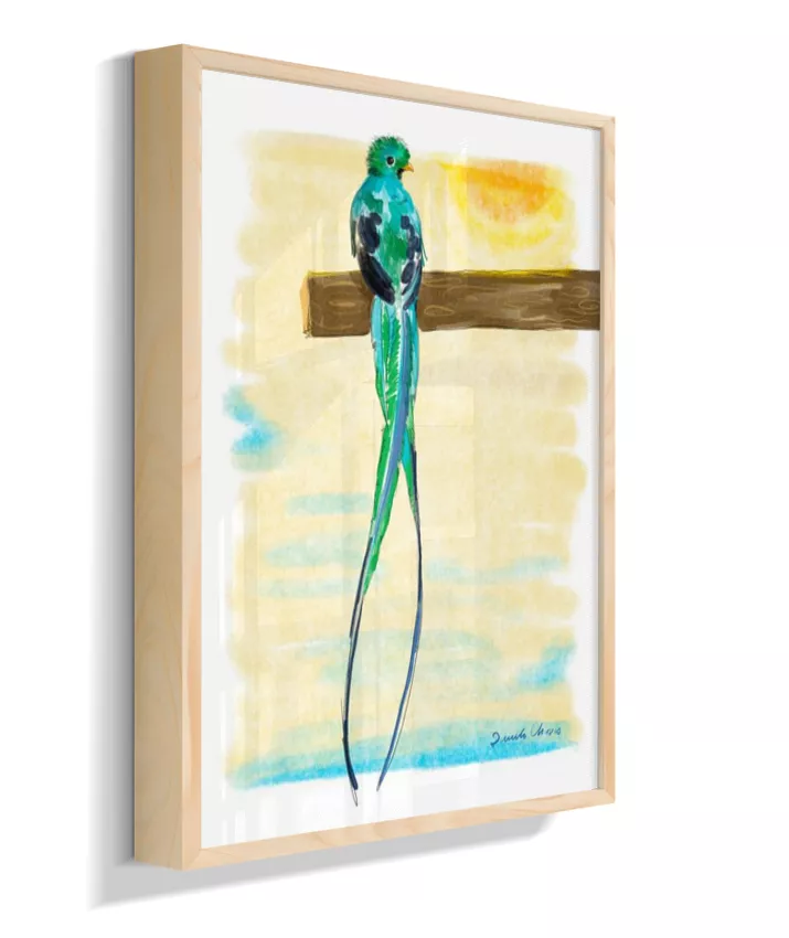 Quetzal ~ Danilo Chaves