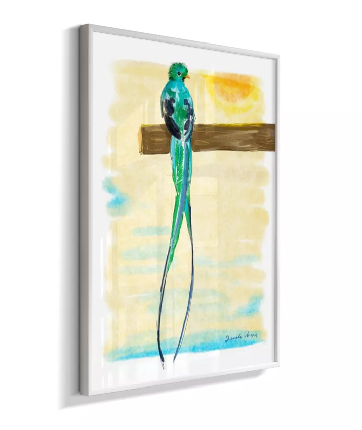 Quetzal ~ Danilo Chaves