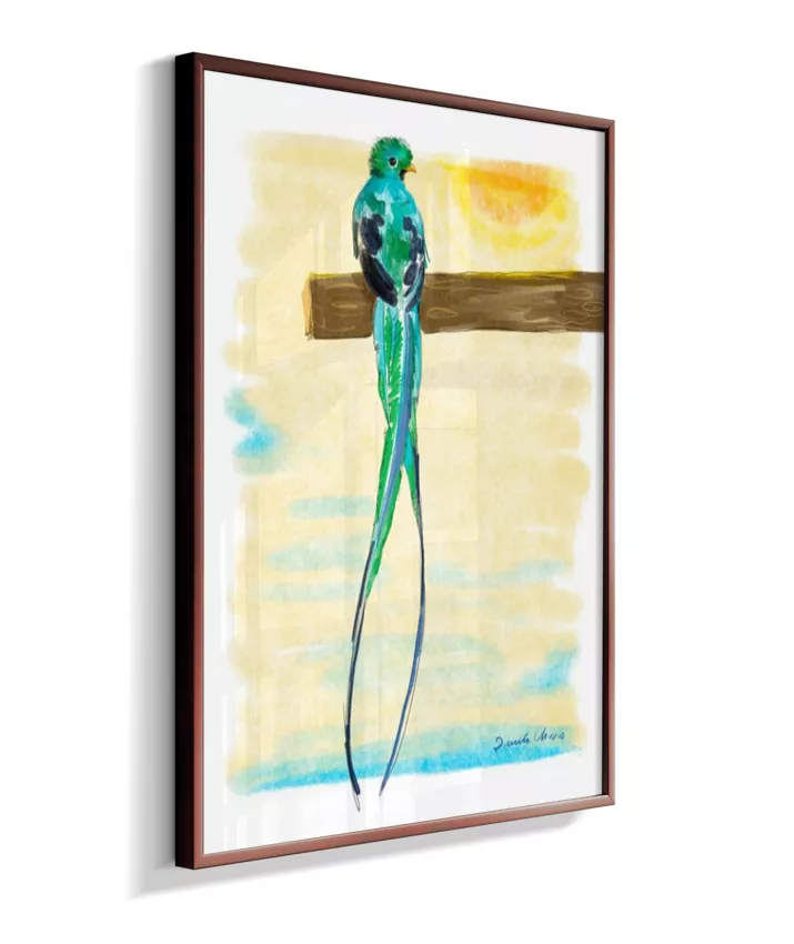 Quetzal ~ Danilo Chaves